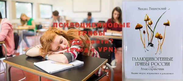ПСИЛОЦИБИНОВЫЕ ГРИБЫ Каменск-Шахтинский