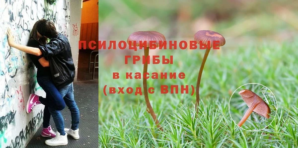 ПСИЛОЦИБИНОВЫЕ ГРИБЫ Каменск-Шахтинский