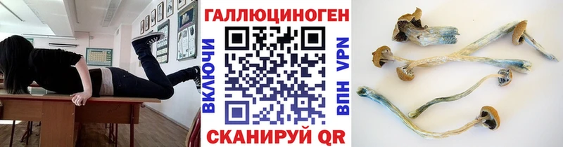 Купить  Донецк  Галлюциногенные грибы Psilocybine cubensis 